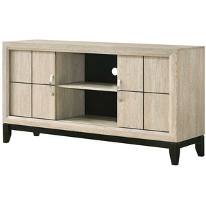 Akerson TV Stand in clean lines and calming driftwood finish. It has two doors with metal hand pull and two open shelves in the center.