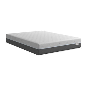 Rize 10" Memory Foam Mattress - Mattresses
