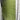 Green 6x9 Area Rug