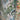 Forest Monaco 6’ 7” x 9’ 2”
