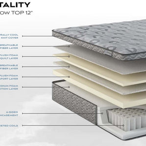 Vitality Pillow Top Mattress - Mattresses