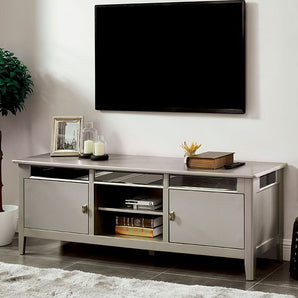 Xaviera 67" TV Stand in Silver